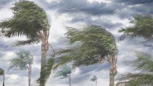 Cuaca ekstrem angin kencang di NTB