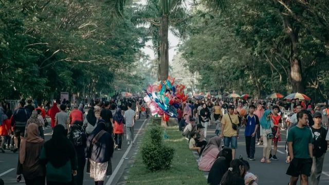 cfd udayana