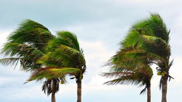 Angin Kencang di NTB, BMKG Jelaskan Penyebabnya