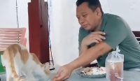 Bang Zul saat memberi makan kucing kesayangannya