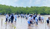 PT SMM bersama mahasiswa UNSA menanam mangrove di Dusun Bina Marga, Desa Stowe Brang, Kecamatan Utan, Sumbawa.
