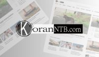 Portal media KORANNTB.com masuk 10 besar jumlah pembaca terbanyak di NTB