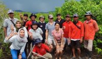 Penanaman pohon mangrove