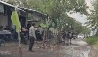 Warga tanam pohon pisang di Jalan Terong Tawah yang rusak