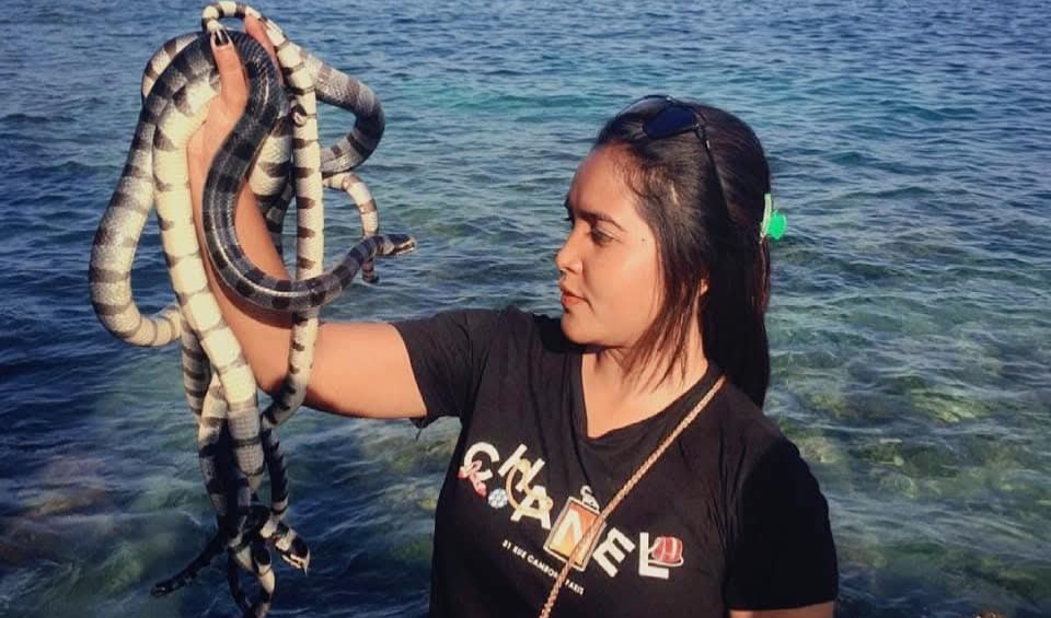 Masyarakat di NTB masih menganggap ular laut belang tidak berbahaya. Faktanya ular ini memang pasif tapi memiliki bisa jauh berkali-kali lipat dari ular kobra (sumber foto: istimewa)