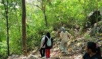 Jalur pendakian Gunung Sasak