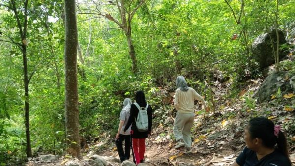 Jalur pendakian Gunung Sasak