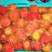 Rambutan