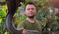 Panji Petualang